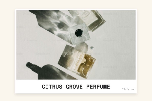 citrus grove perfume