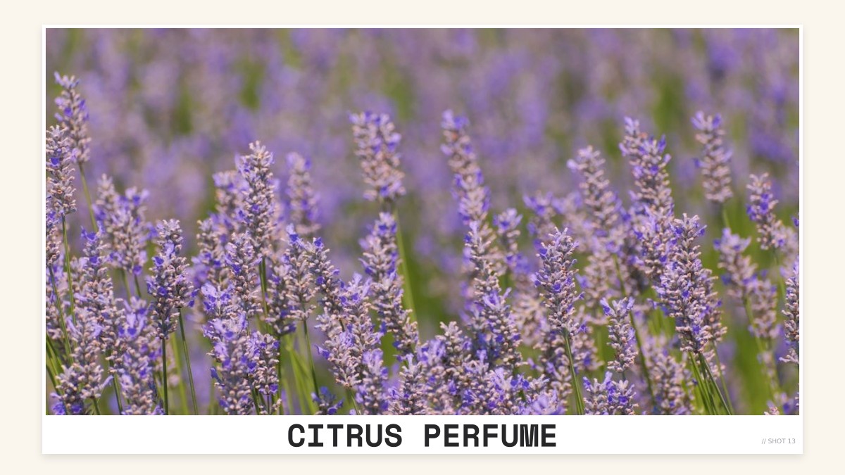 citrus perfume