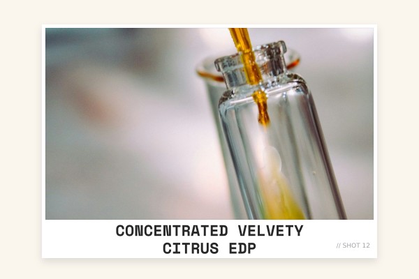 concentrated velvety citrus edp