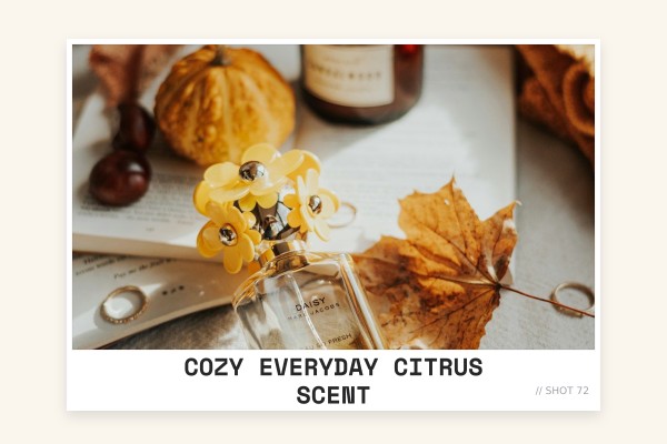 cozy everyday citrus scent