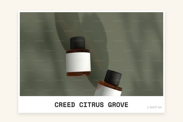 Creed - Citrus Grove