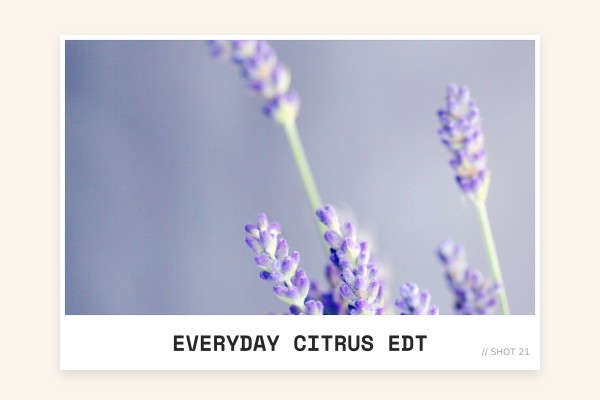 everyday citrus edt