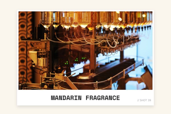 mandarin fragrance