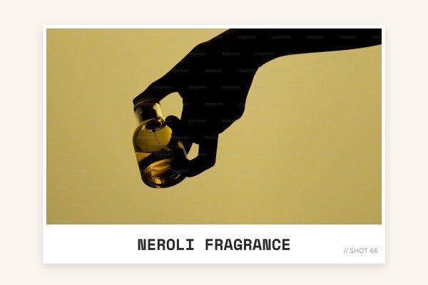 citrus perfume