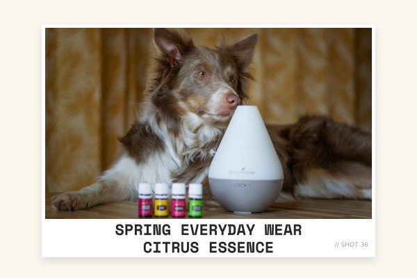 spring everyday wear citrus essence