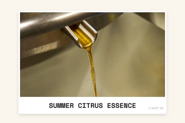 summer citrus essence
